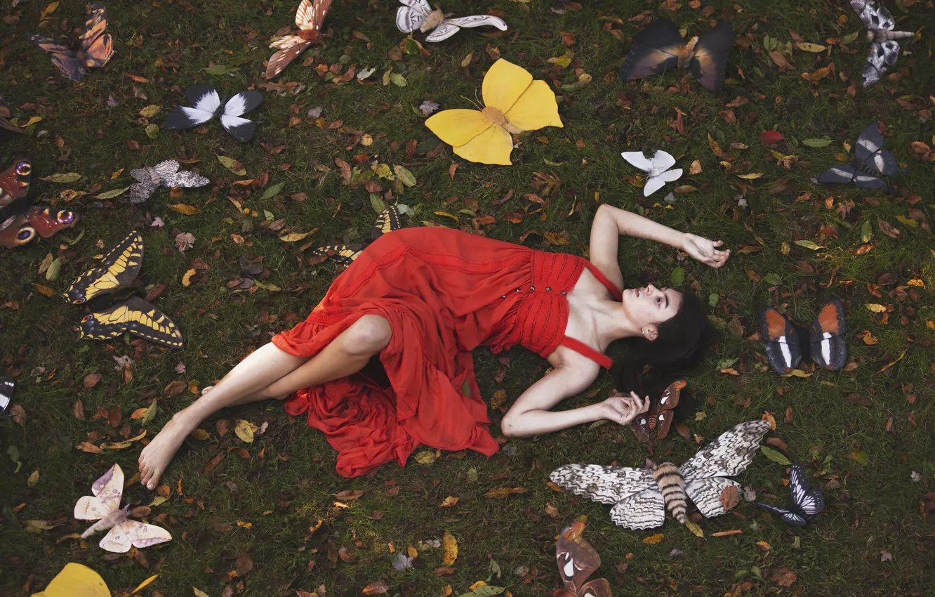 Photo wallpaper girl, butterfly, pose, red dress