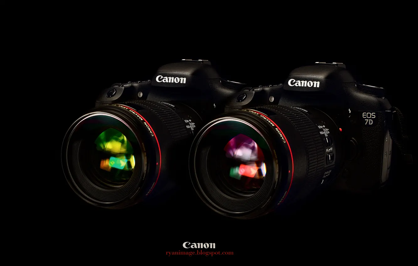 Photo wallpaper Wallpaper, black background, Canon, EF 100mm F2.8L macro Hybrid IS, EOS 7D, two cameras