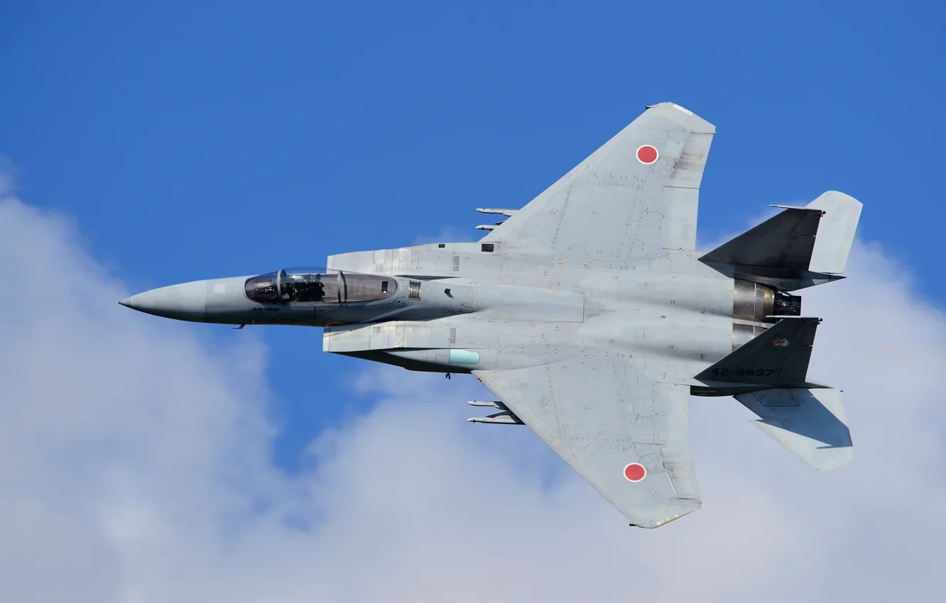 Photo wallpaper flight, fighter, Eagle, Japanese, McDonnell Douglas, F-15J