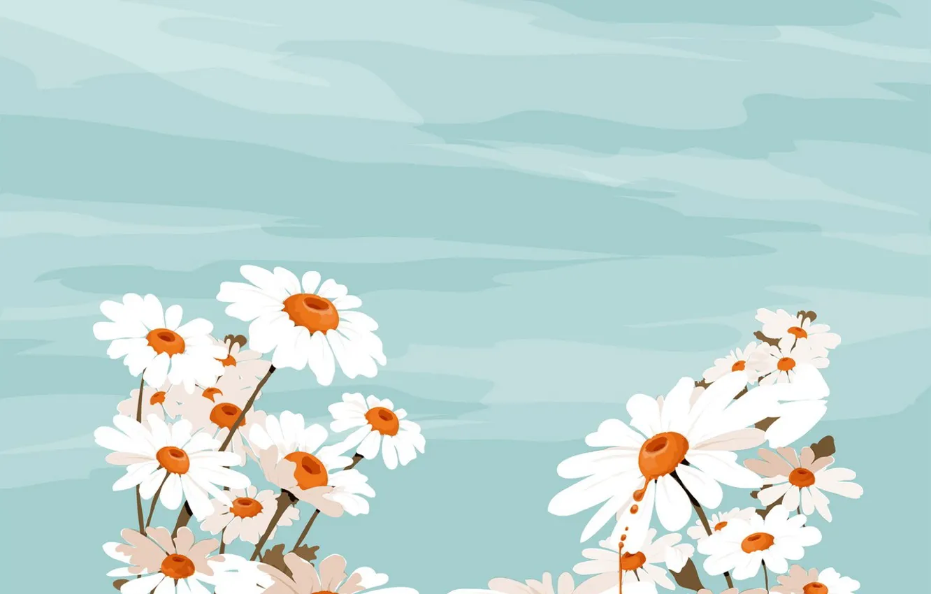 Photo wallpaper drops, chamomile, vector