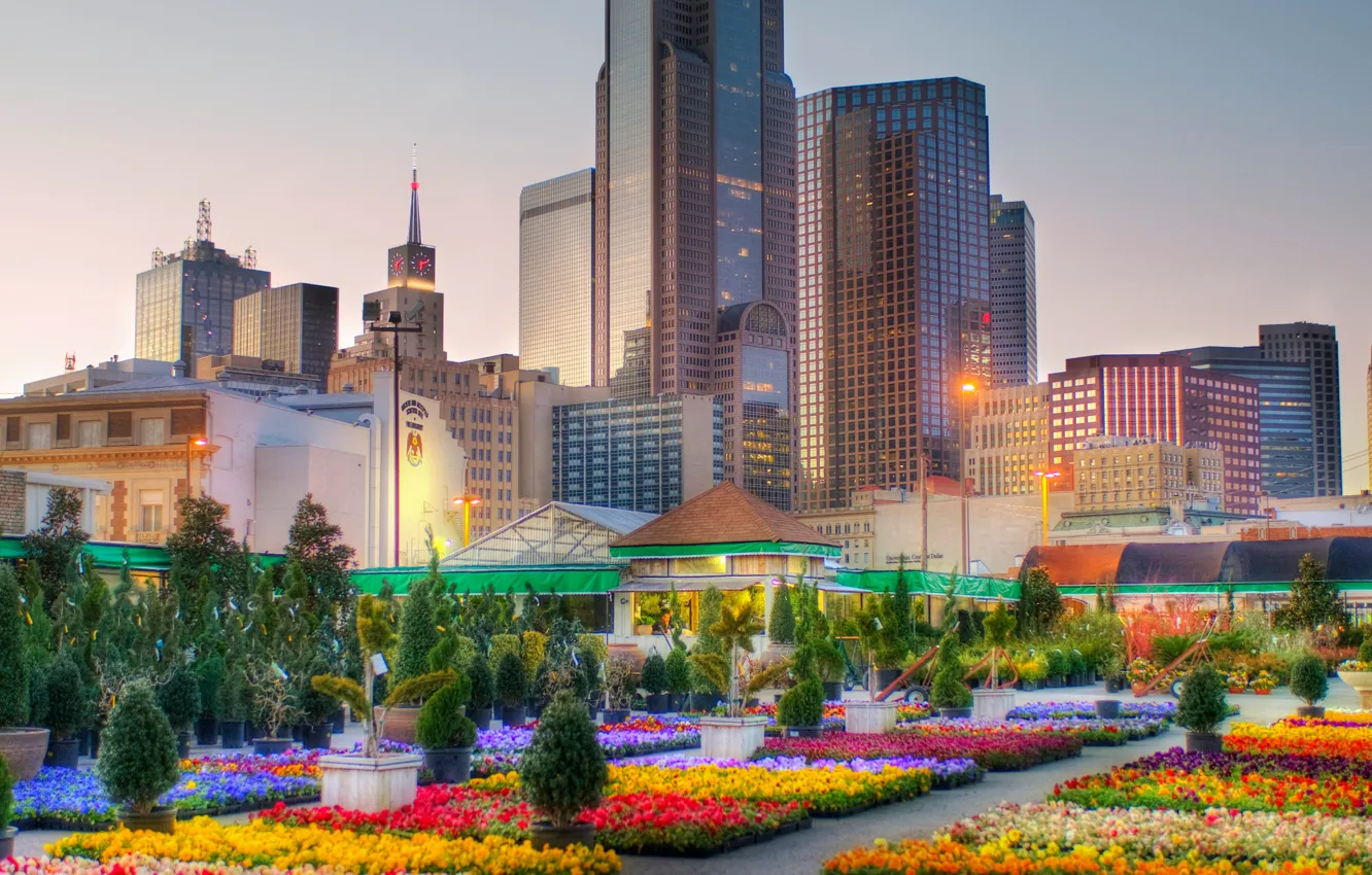 Photo wallpaper city, the city, USA, USA, megapolis, Texas, Dallas, Dallas