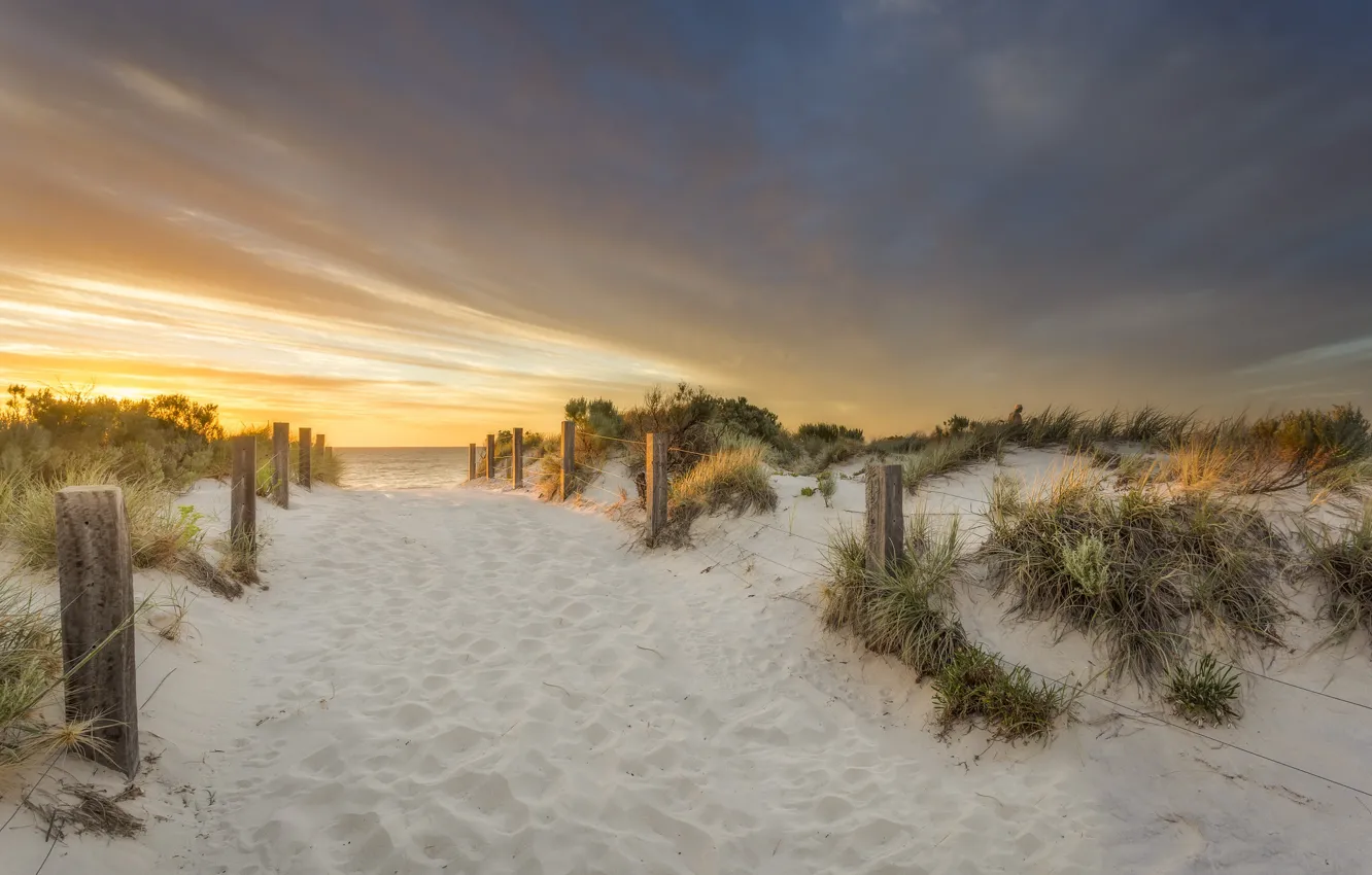 Photo wallpaper sand, sea, beach, sunset, nature, the fence, dunes