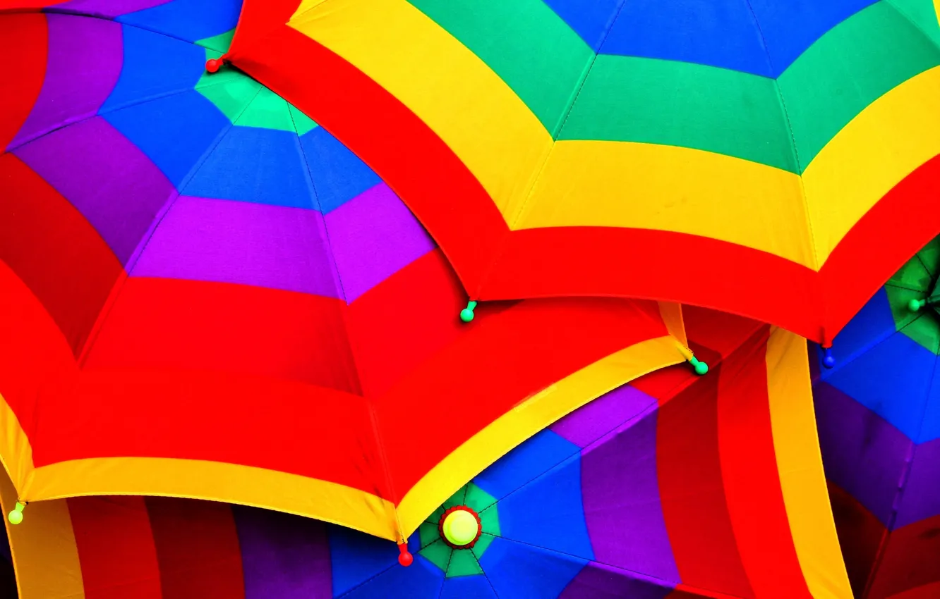 Photo wallpaper purple, blue, yellow, red, green, colored, color, umbrella