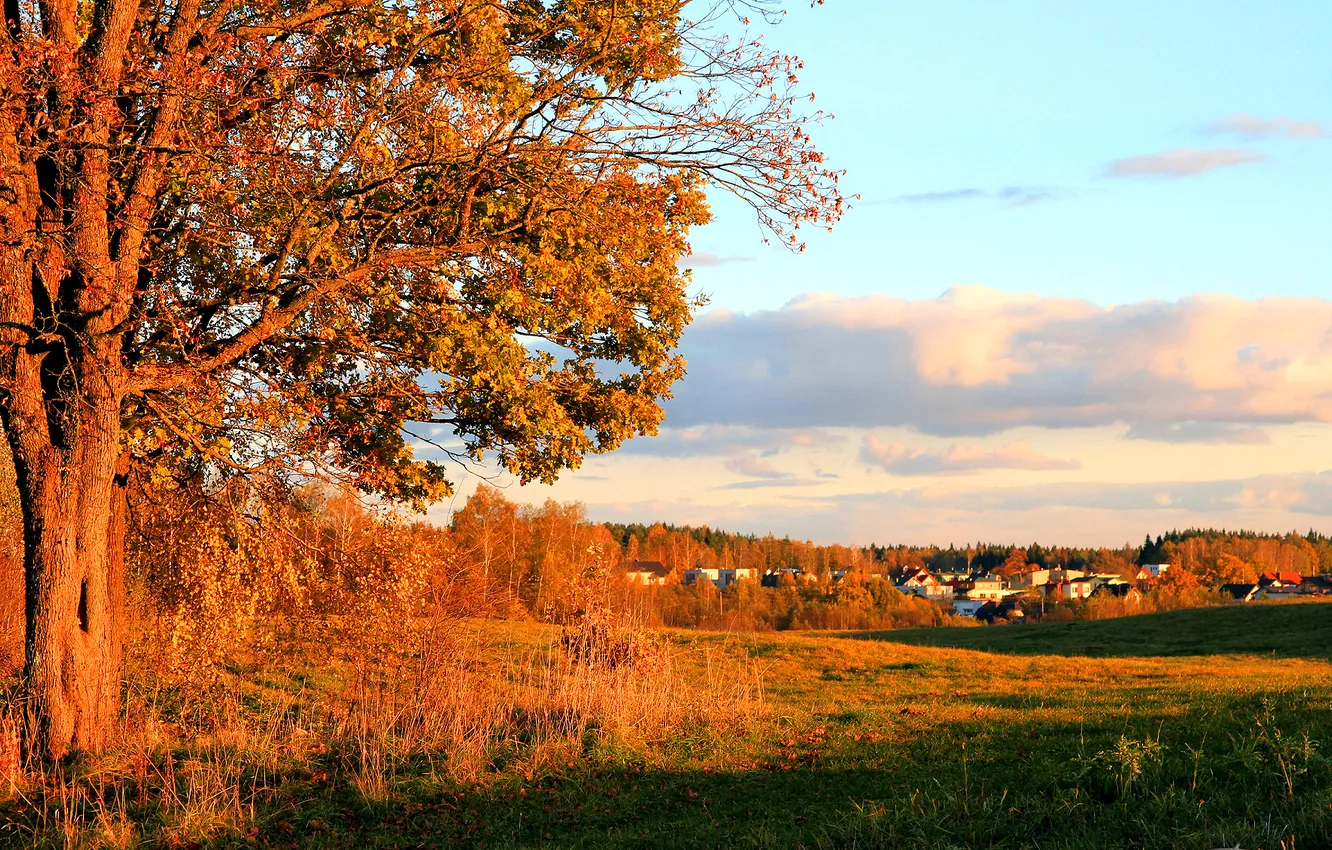 Photo wallpaper autumn, the sky, clouds, trees, home, town, the village