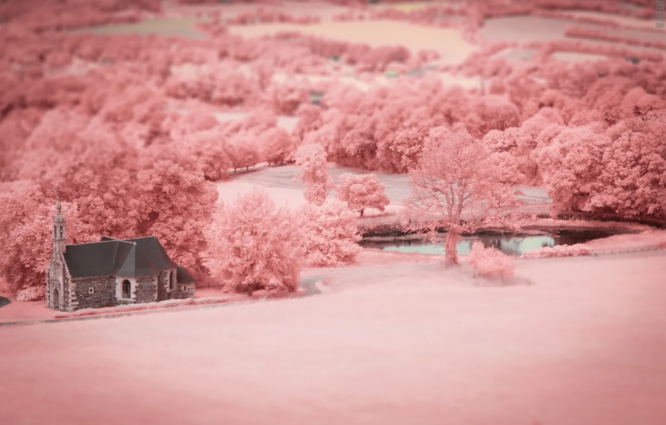 Photo wallpaper field, color, temple