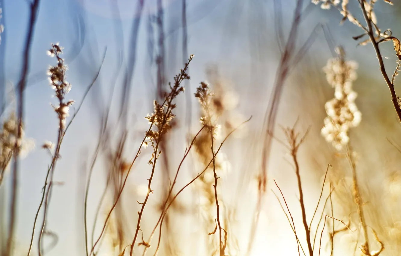 Photo wallpaper light, up, Slow Burn