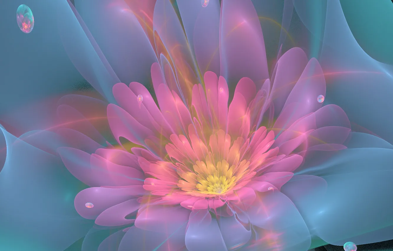 Photo wallpaper flower, line, pink, petals, green