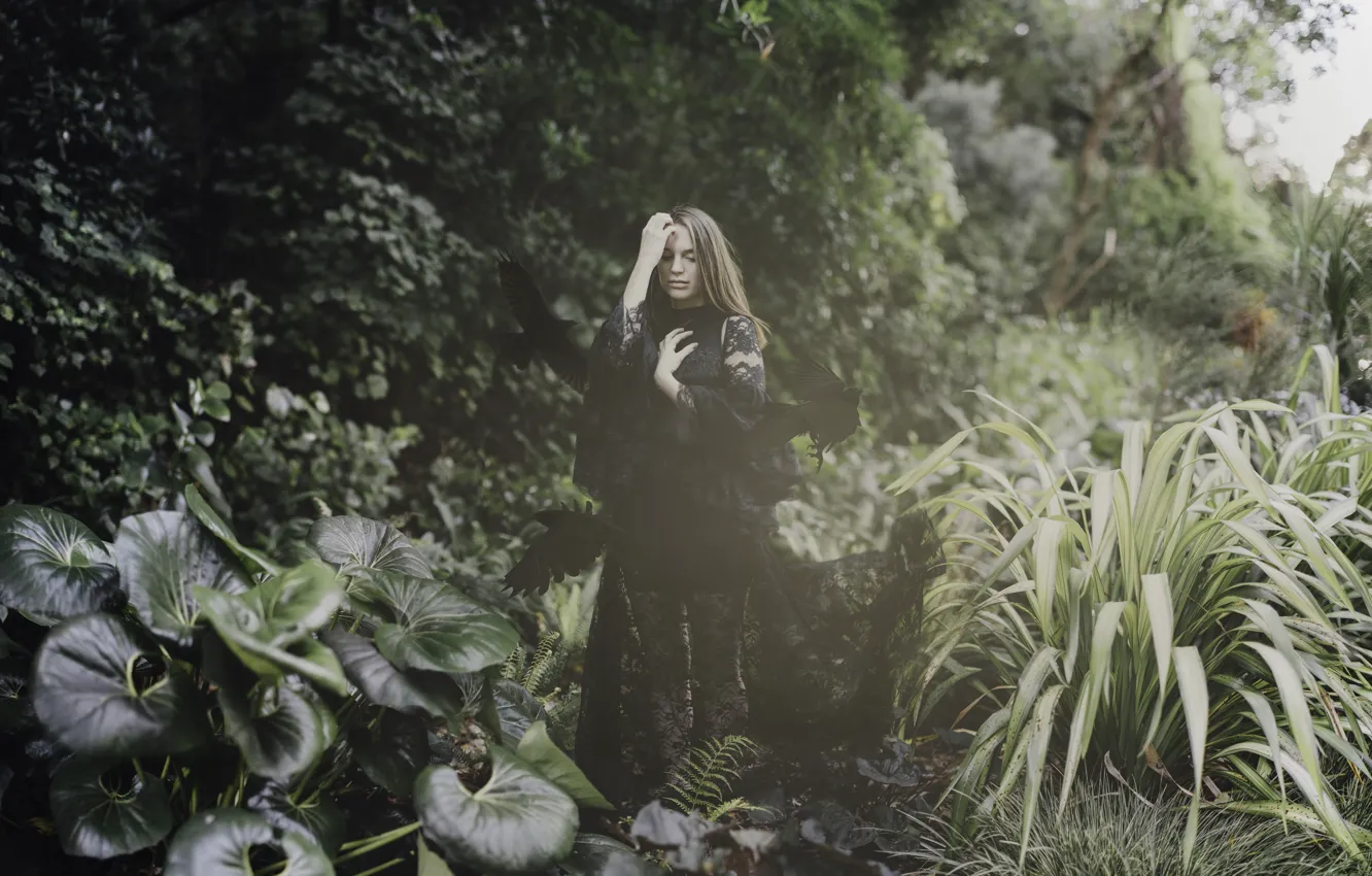 Photo wallpaper girl, pose, bird, plant, dress, crows