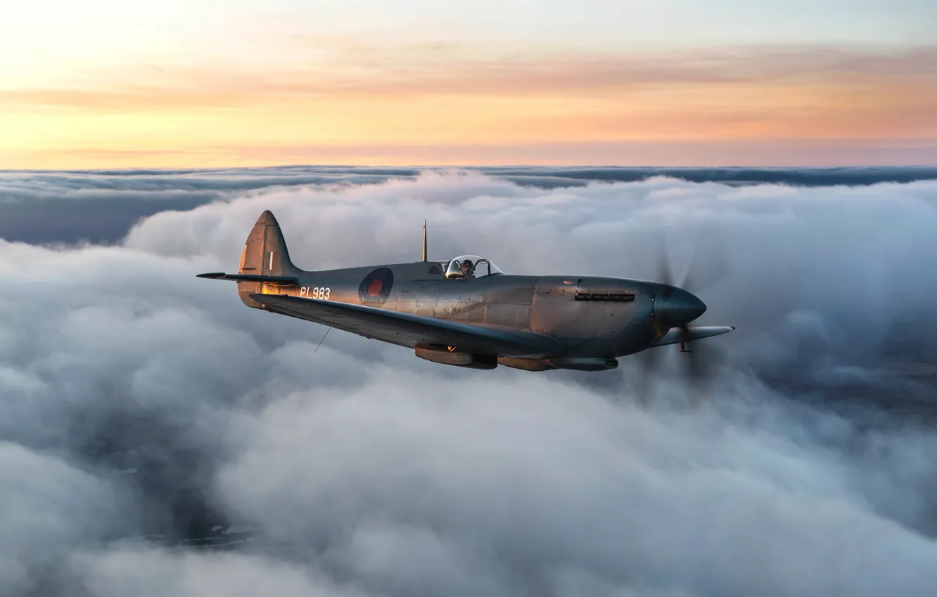 Photo wallpaper The sky, Clouds, Fighter, Spitfire, RAF, The Second World War, Supermarine Seafire, Spitfire PR.Mk XI