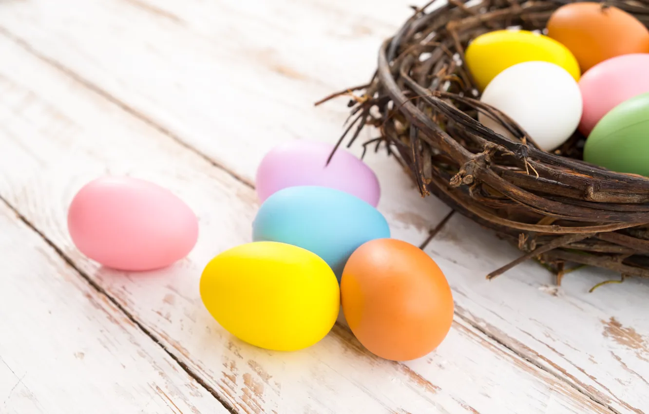Photo wallpaper branches, holiday, eggs, Easter, socket
