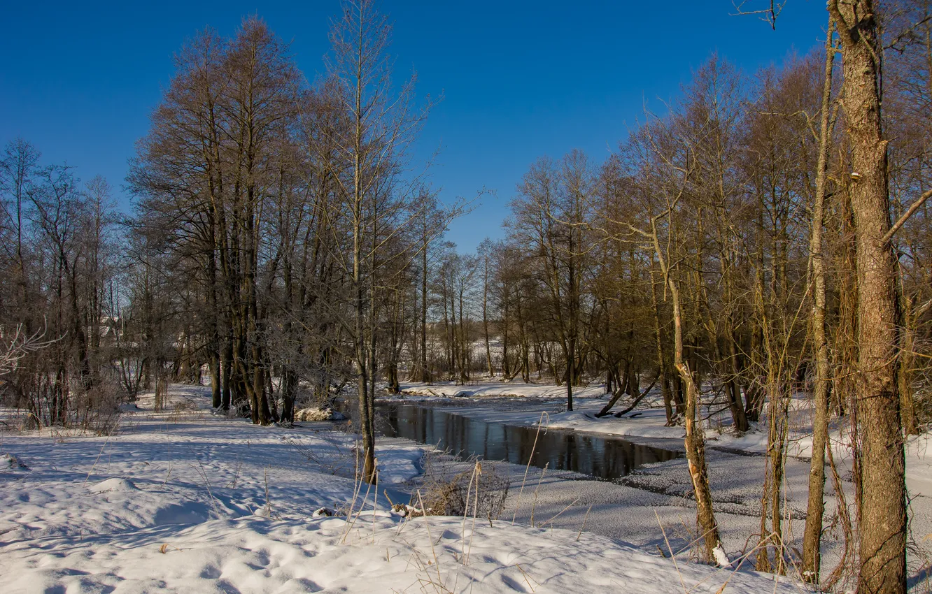 Photo wallpaper winter, snow, landscape, nature, Sunny day