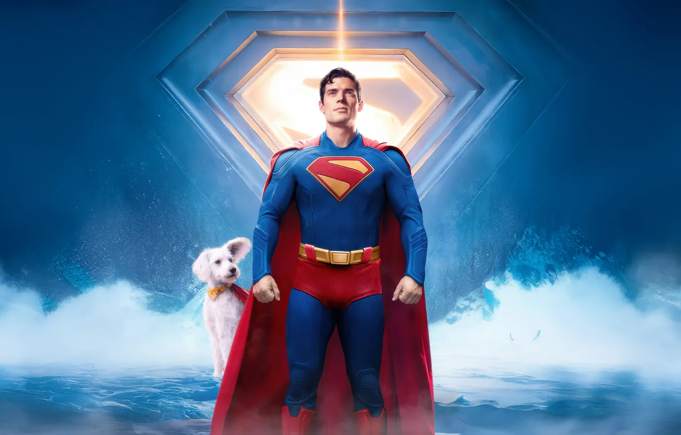 Photo wallpaper look, Superman, dog, Superman, David Corenswet, David Korensvet, Crypto, Krypto