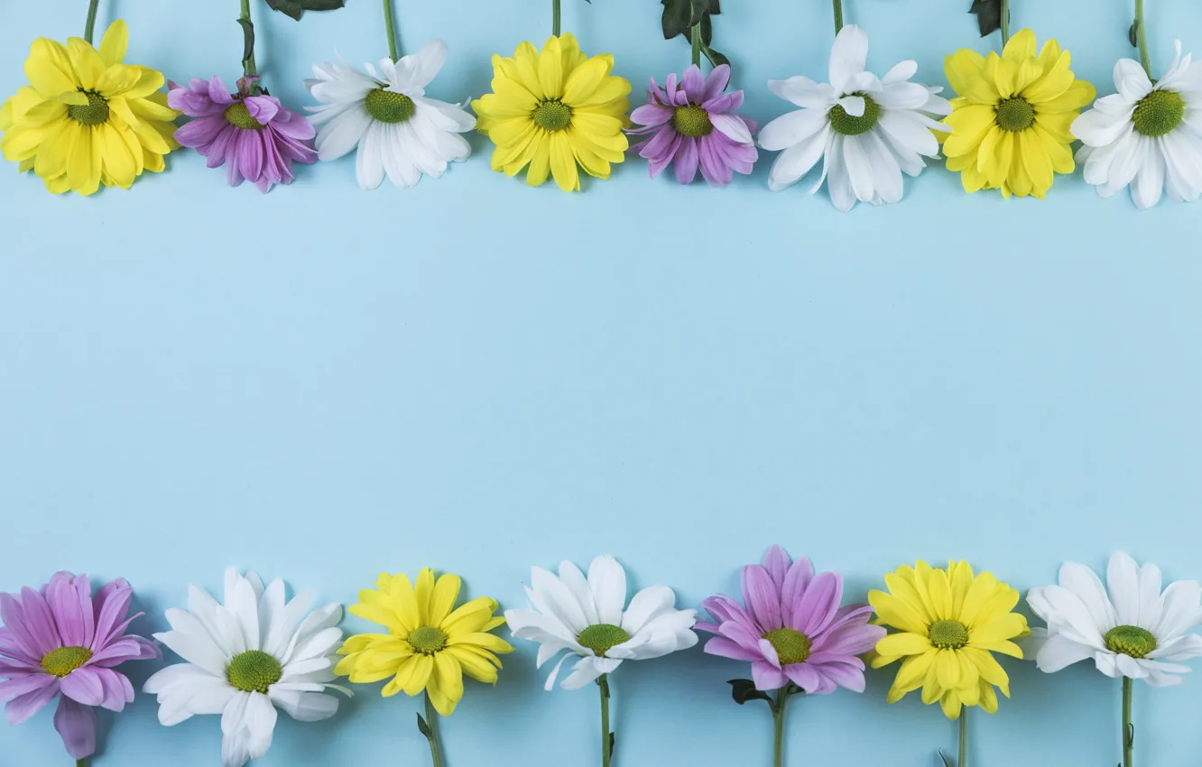Photo wallpaper flowers, yellow, white, white, yellow, lilac, composition
