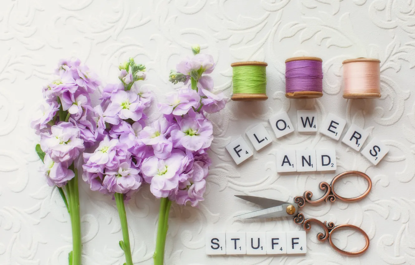 Photo wallpaper flowers, composition, gillyflower