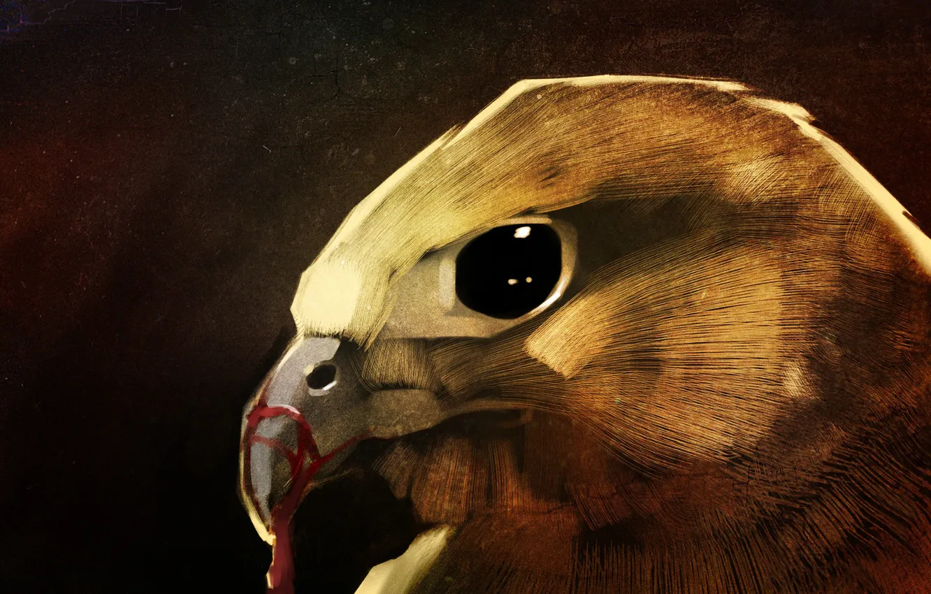 Photo wallpaper bird, blood, beak, art, hawk, hawk