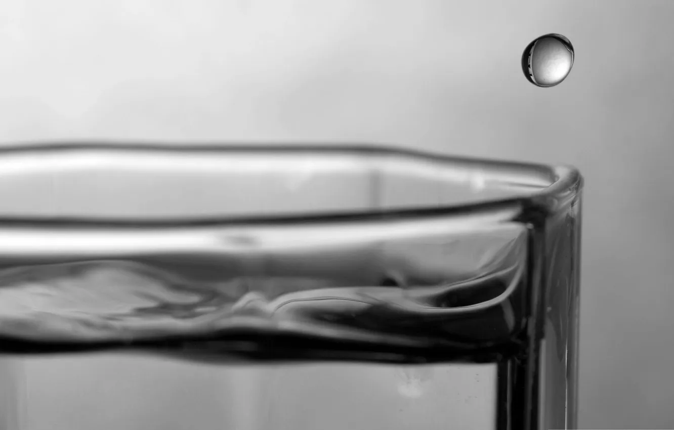 Photo wallpaper water, drops, macro, glass, photo, background, Wallpaper, b/W