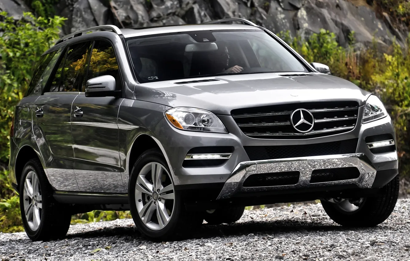 Photo wallpaper grey, jeep, gravel, mercedes-benz, Mercedes, the bushes, the front, 350