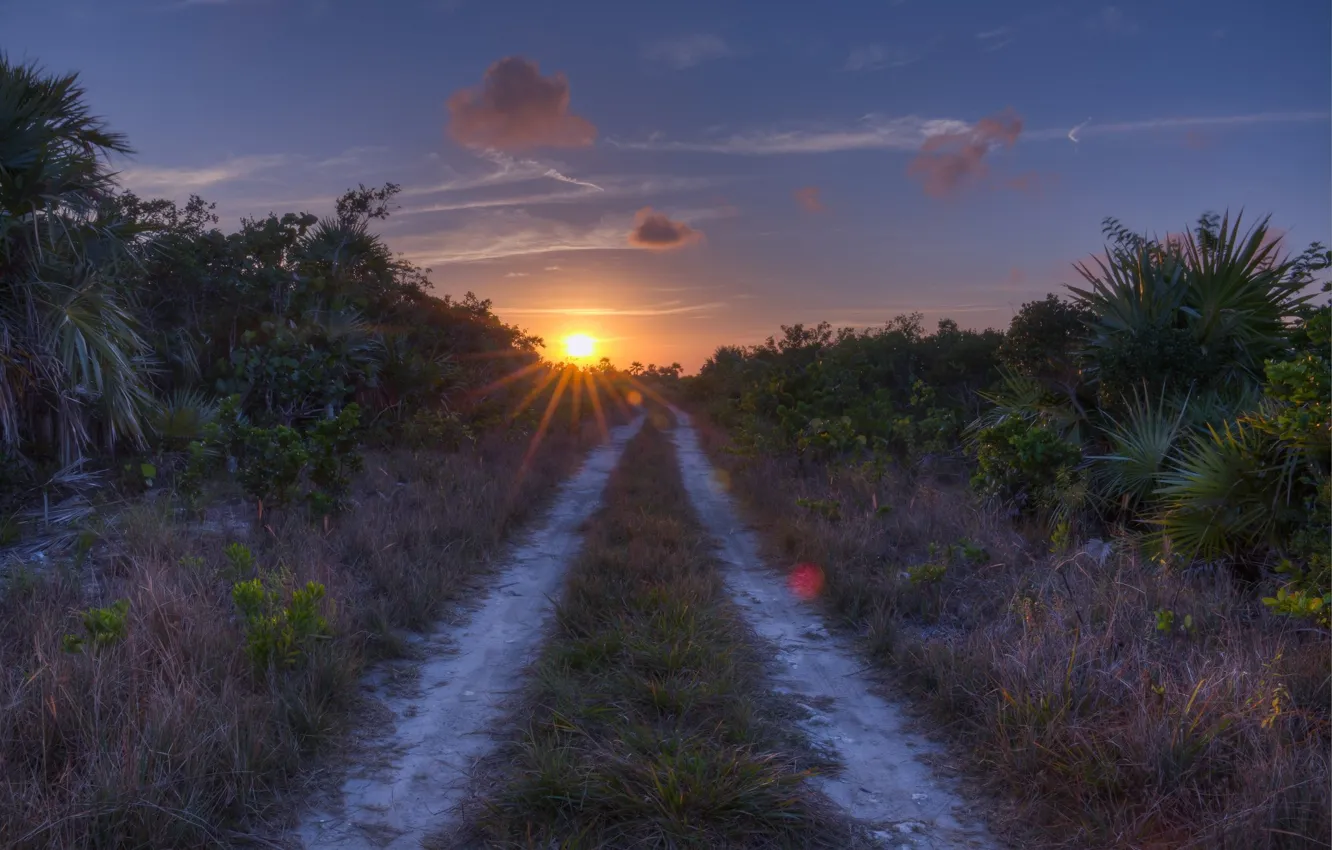 Photo wallpaper road, field, the sun