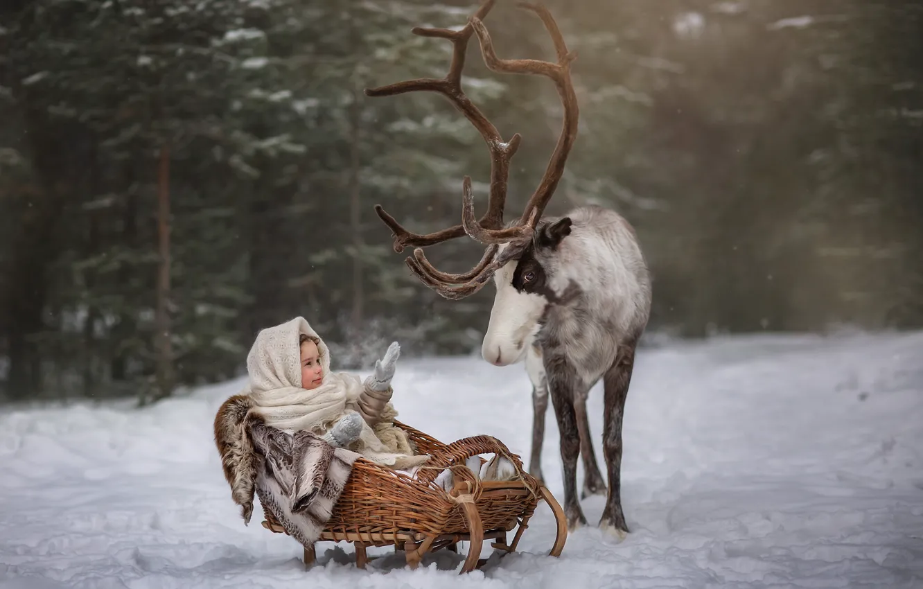 Photo wallpaper winter, forest, snow, animal, deer, girl, sleigh, child