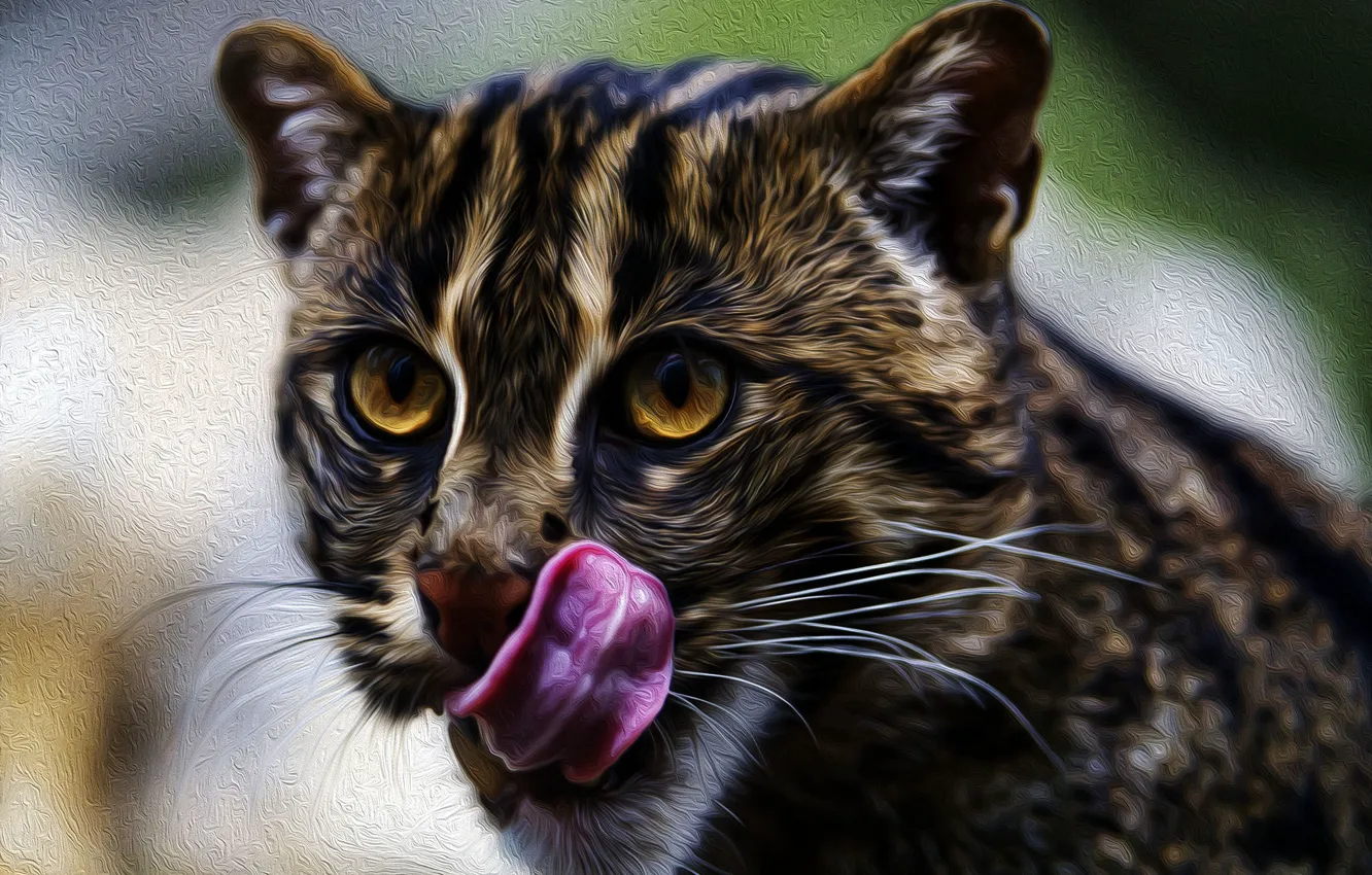 Photo wallpaper language, wild, cat-fisherman