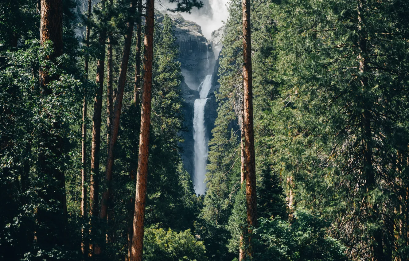 Photo wallpaper rock, trees, nature, wood, waterfall
