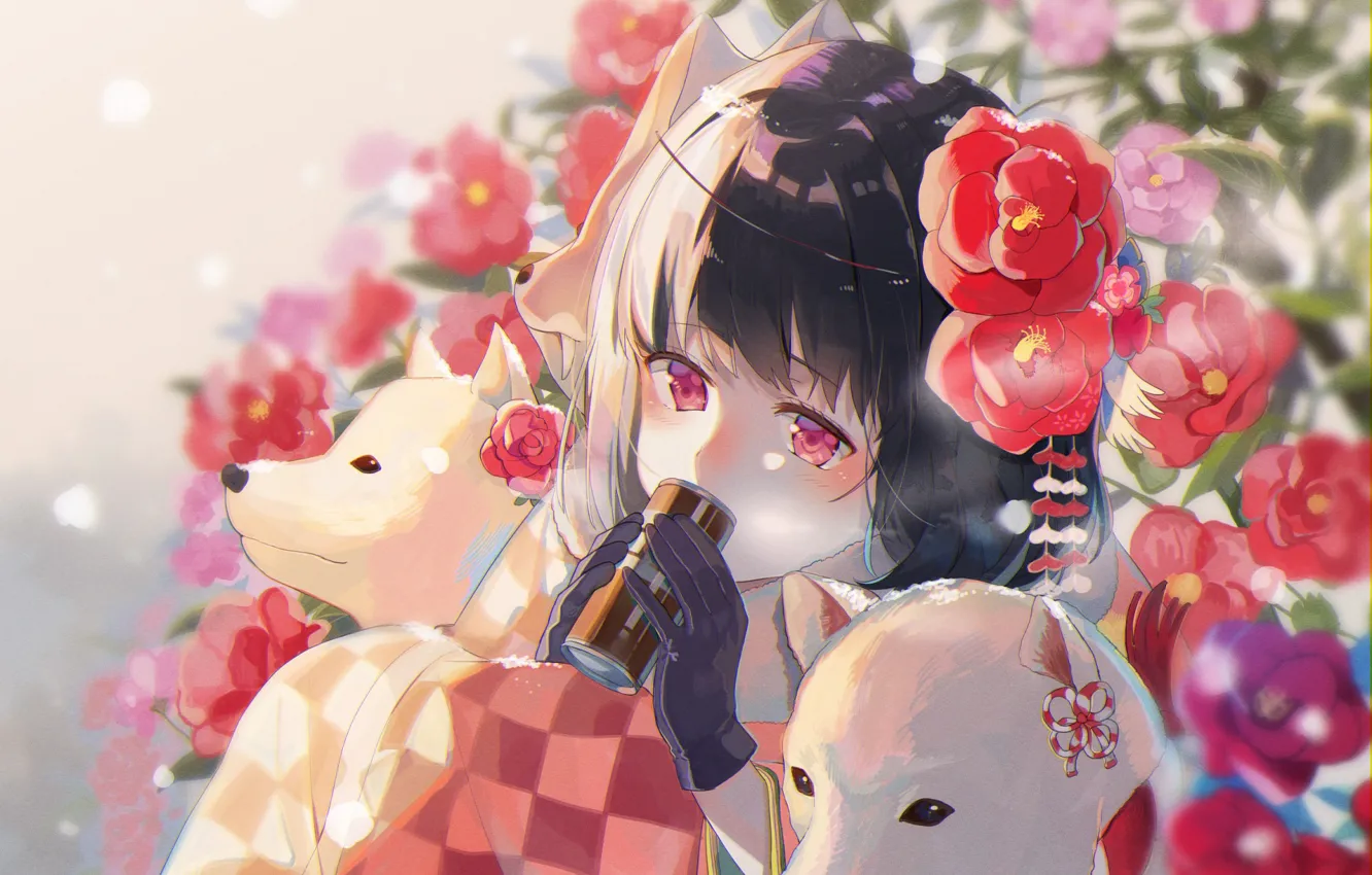 Photo wallpaper look, dog, anime, art, girl, Camellia, tagme (artist)