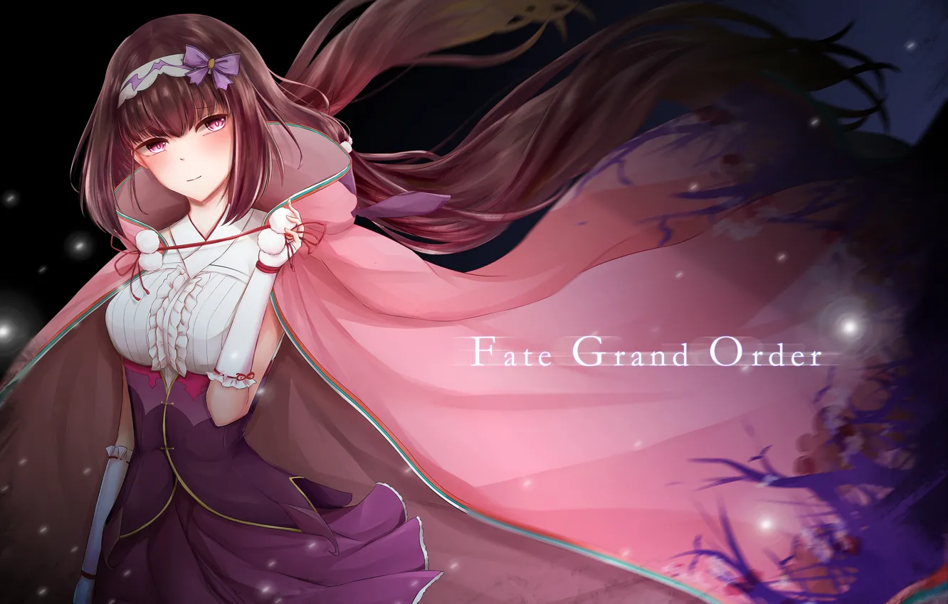 Photo wallpaper girl, anime, art, Assassin, fate/grand order