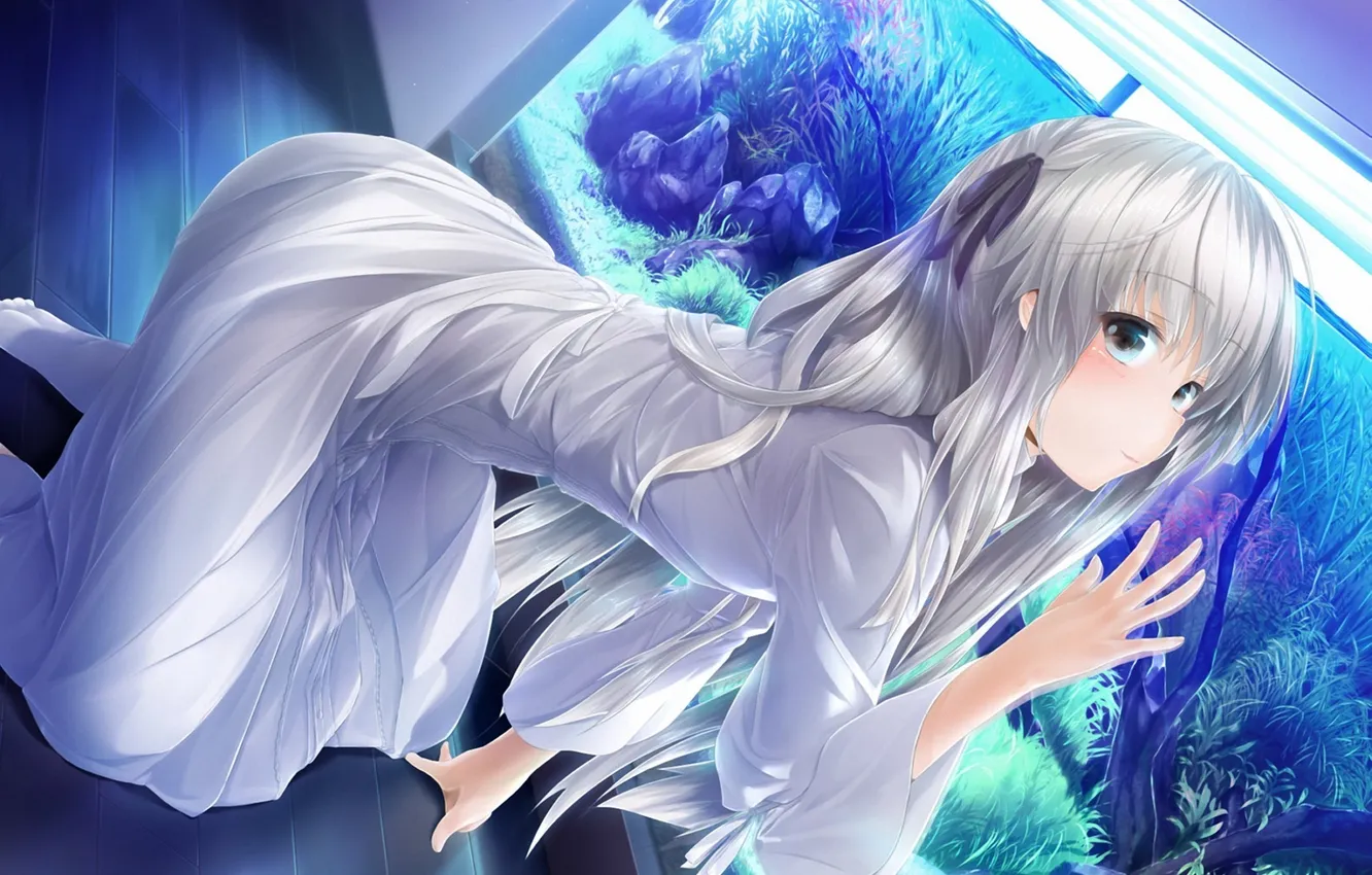 Photo wallpaper aquarium, art, girl, kasugano sora, yosuga no sora, wingheart