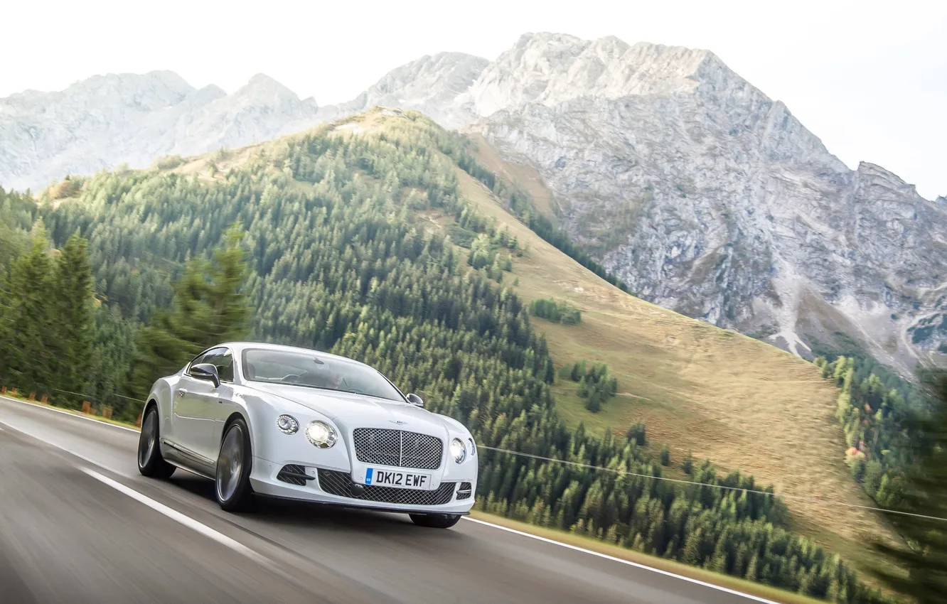 Photo wallpaper forest, mountains, grey, lights, Bentley, Continental, The hood, in motion