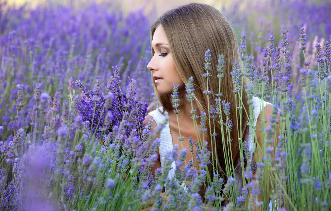 Photo wallpaper field, girl, flowers, profile, lavender, blonde