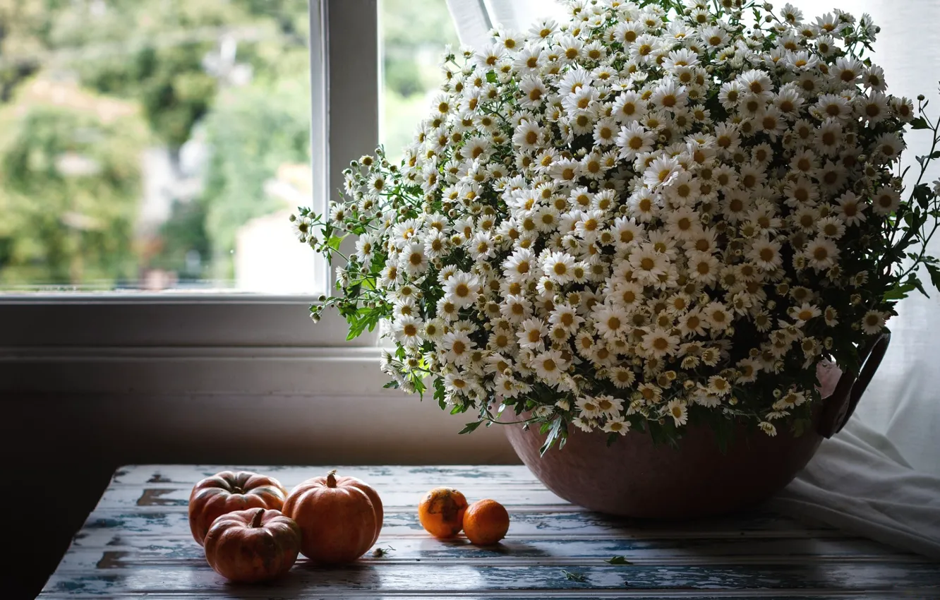 Photo wallpaper on the table, window, pumpkins, a bouquet of daisies