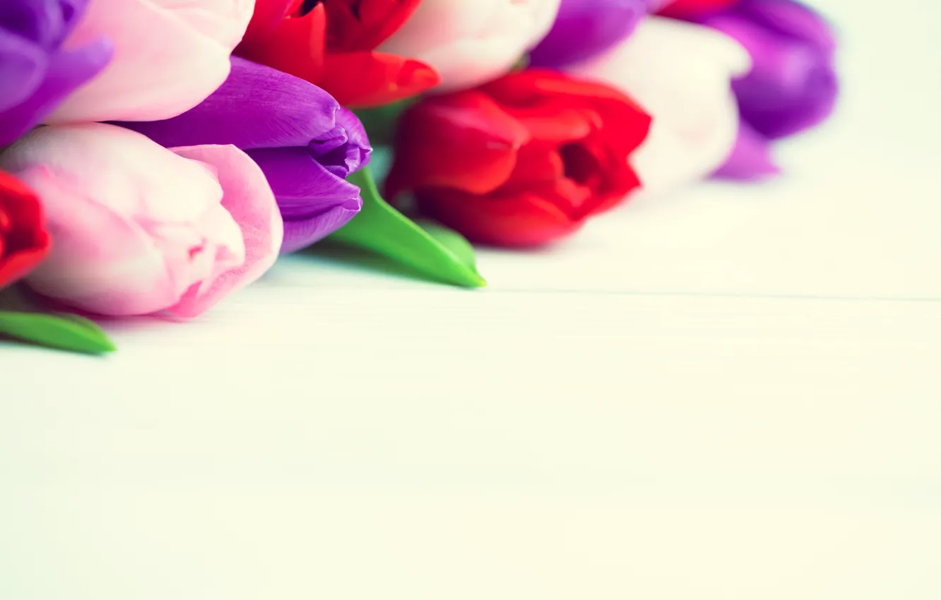Photo wallpaper flowers, bouquet, colorful, tulips, red, white, wood, flowers