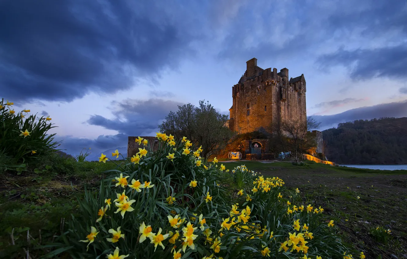 Photo wallpaper the sky, flowers, castle, Scotland, daffodils, Scotland, Eilean Donan Castle, The Eilean Donan Castle
