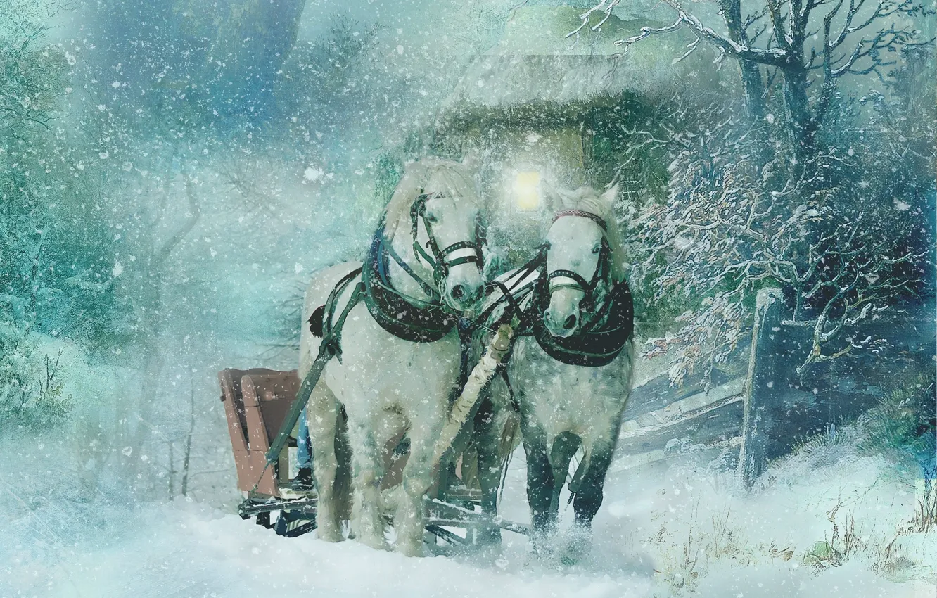 Photo wallpaper winter, snow, horse, horse, texture, art, sleigh