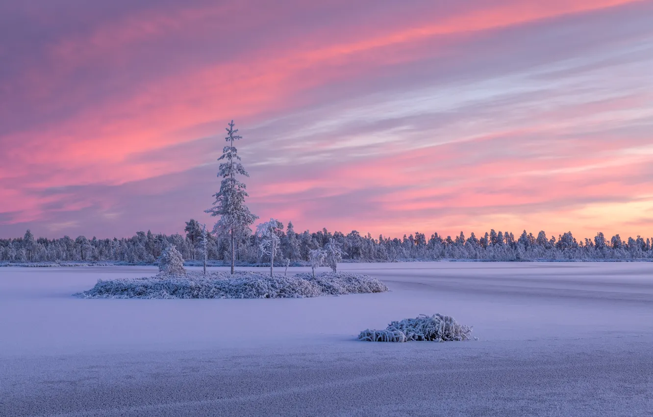 Photo wallpaper winter, forest, snow, trees, sunset, Russia, island, Karelia