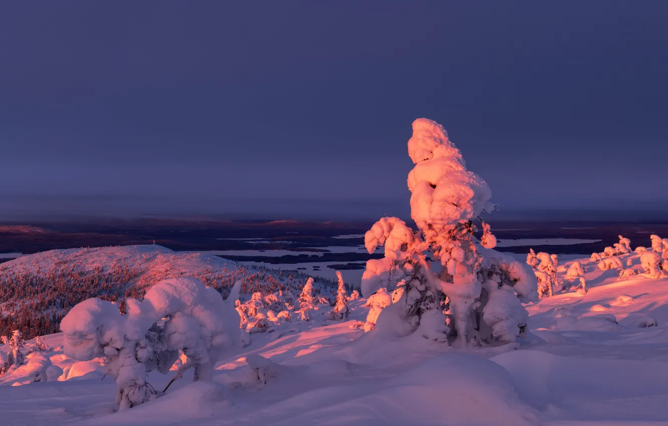 Photo wallpaper winter, snow, trees, landscape, sunset, nature, ate, Maxim Evdokimov
