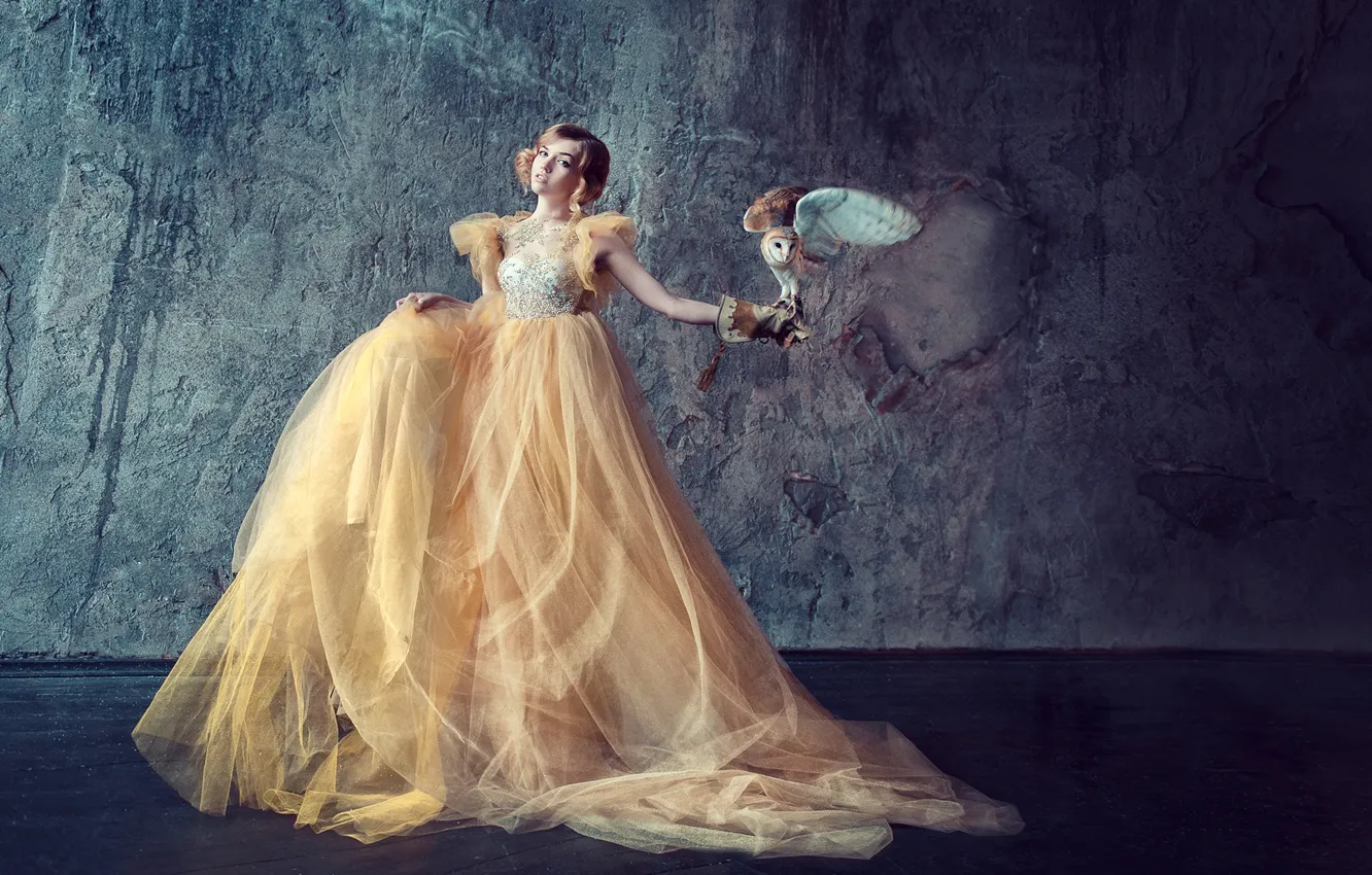 Photo wallpaper girl, owl, bird, dress, Maria Lipina