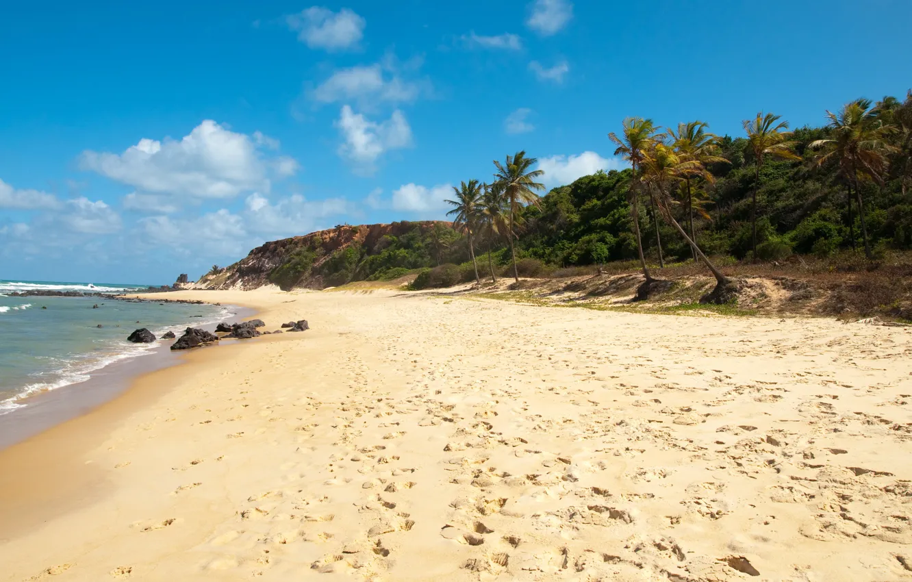 Photo wallpaper sand, sea, beach, palm trees