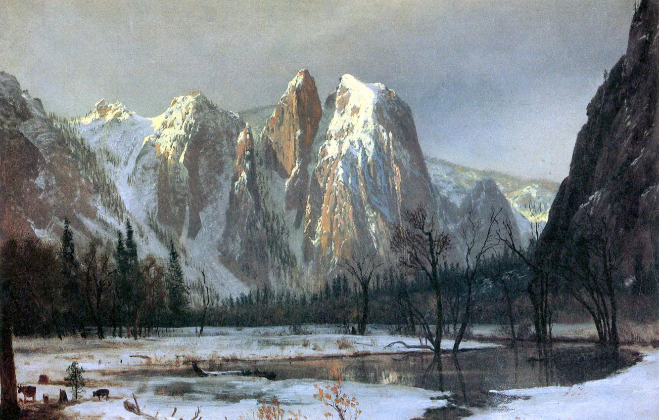 Photo wallpaper dream, colors, light, USA, nature, Yosemite, beautiful, Talent