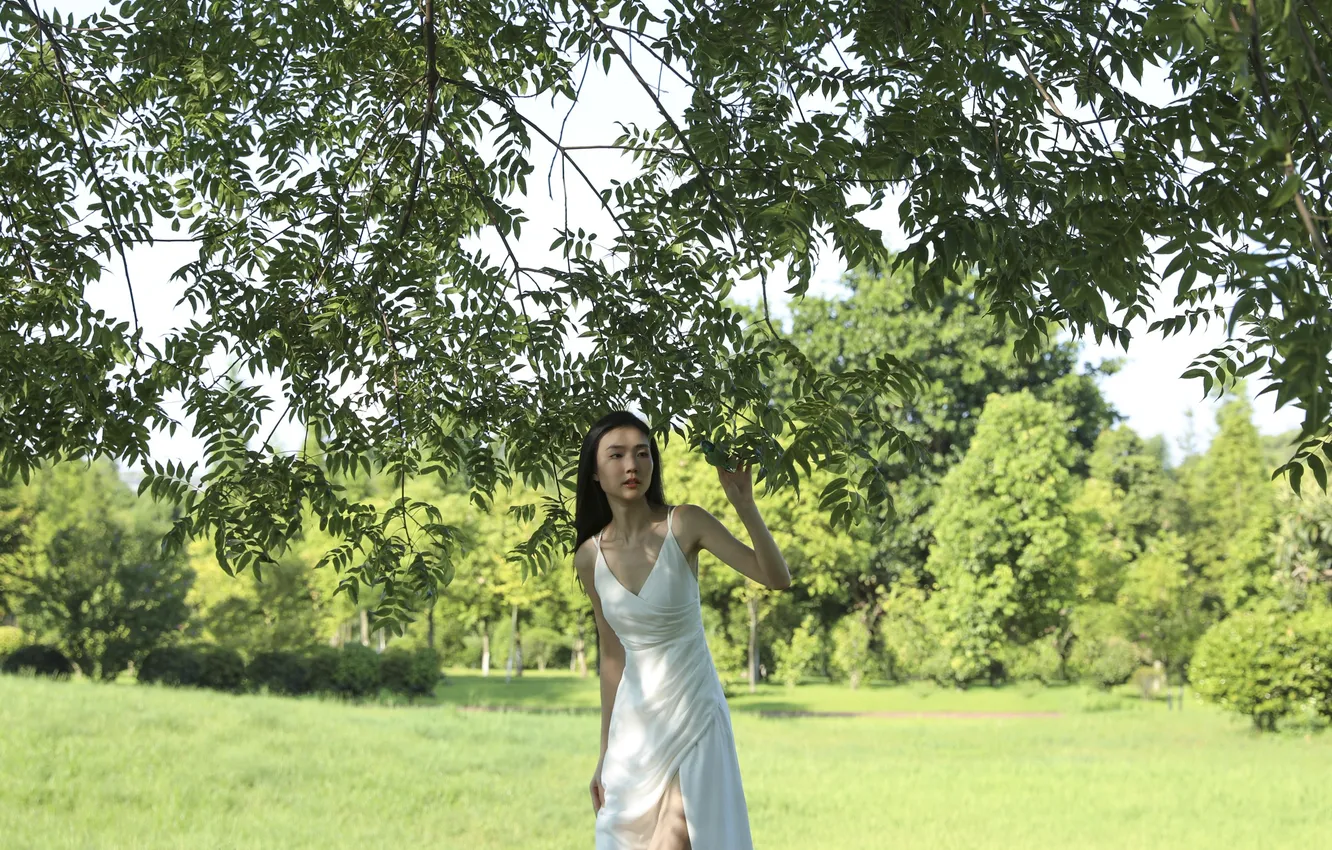 Photo wallpaper grass, trees, woman, beautiful, model, pretty, asian, outdoor