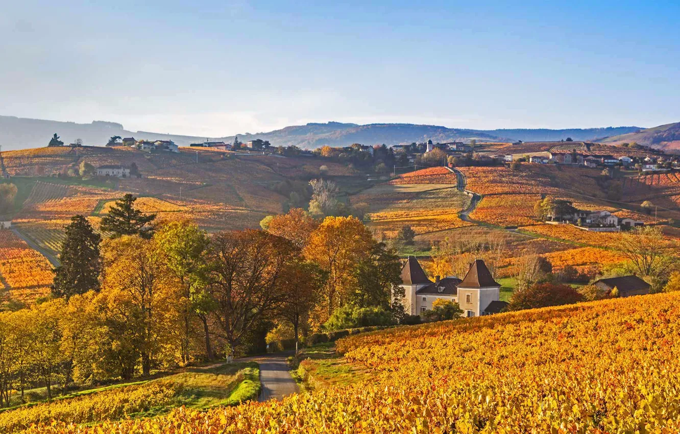 Photo wallpaper autumn, France, Lantinga, the Beaujolais region
