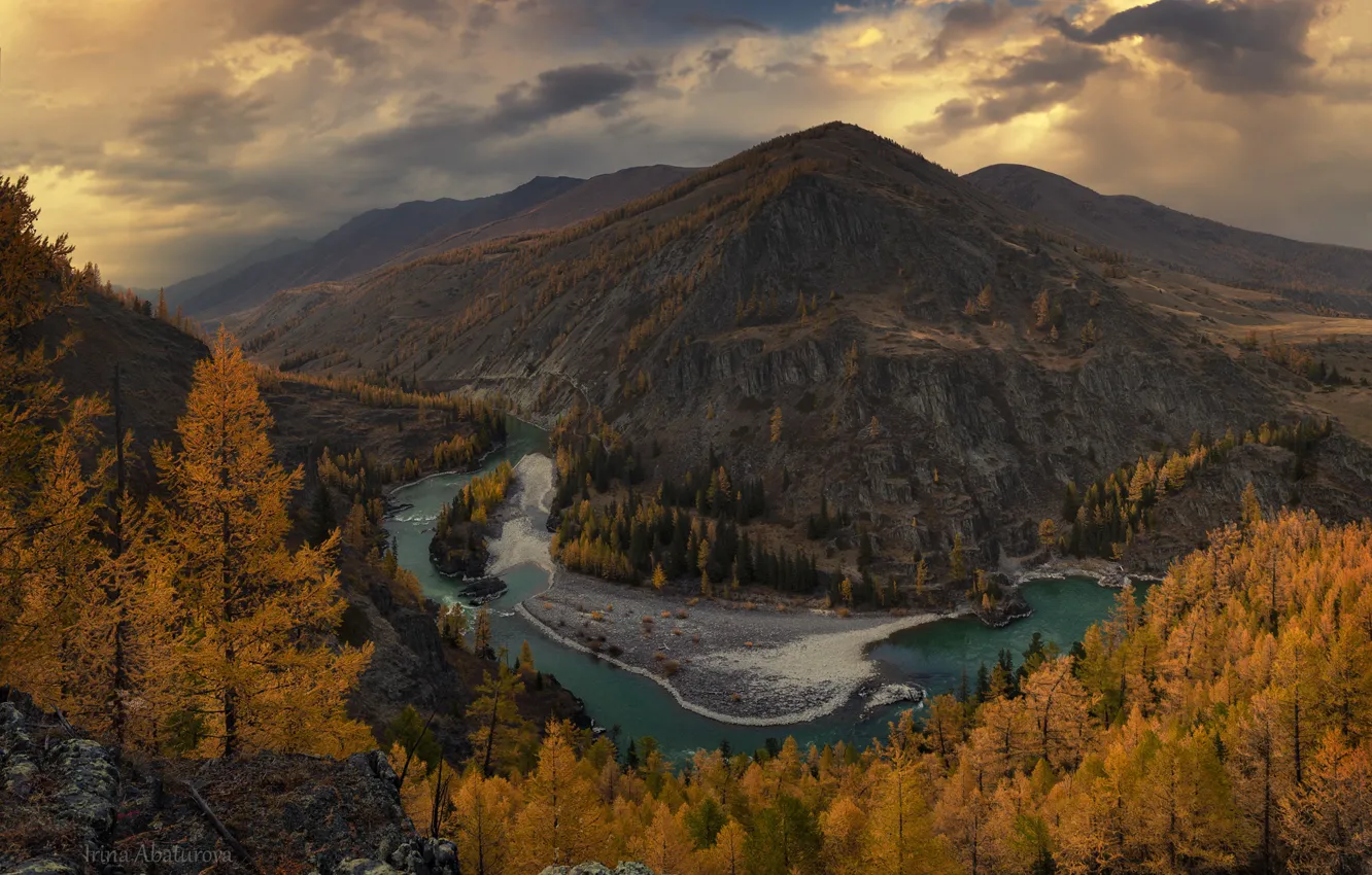 Photo wallpaper autumn, landscape, mountains, nature, river, forest, Altay, bend
