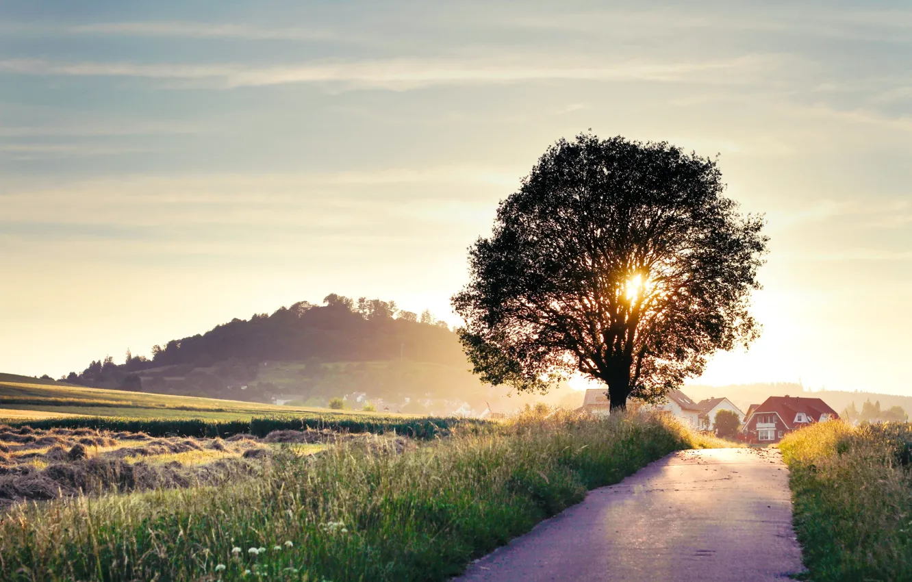 Photo wallpaper road, summer, the sun, rays, light, trees, landscape, nature