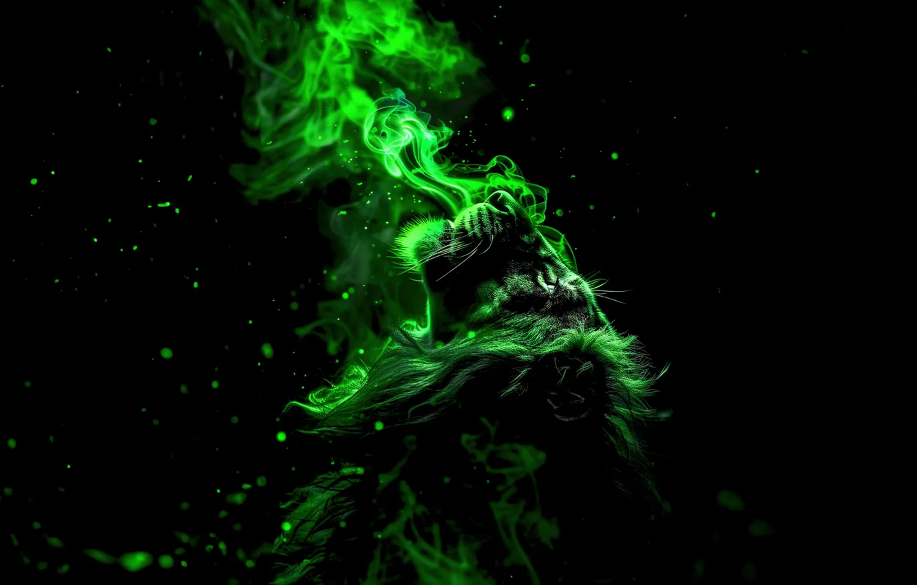 Photo wallpaper smoke, lion, AMOLED, Green aesthetic