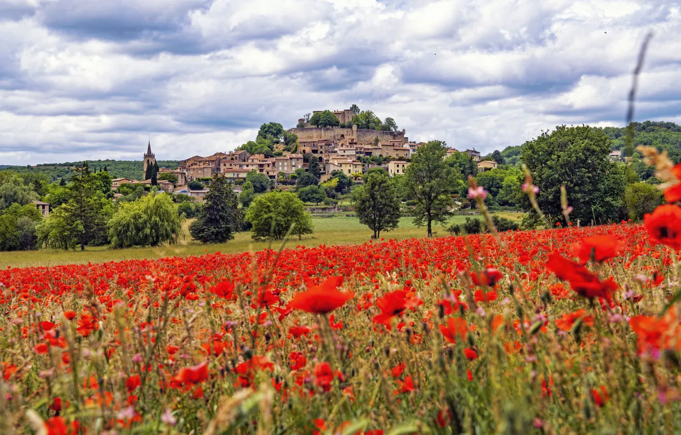 Photo wallpaper flowers, Maki, architecture, poppy field