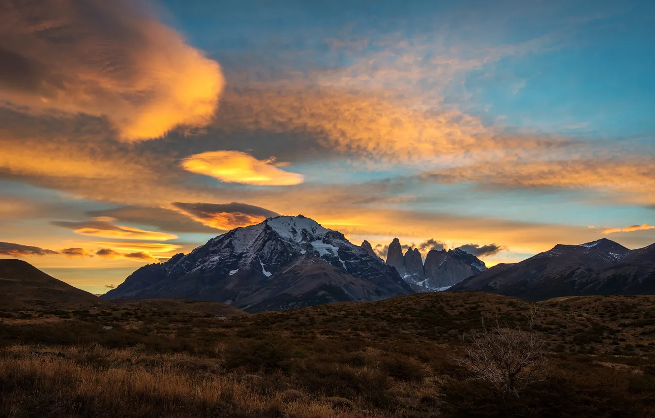 Photo wallpaper yellow, bushes, mountains, the evening, snow, vegetation, autumn, clouds