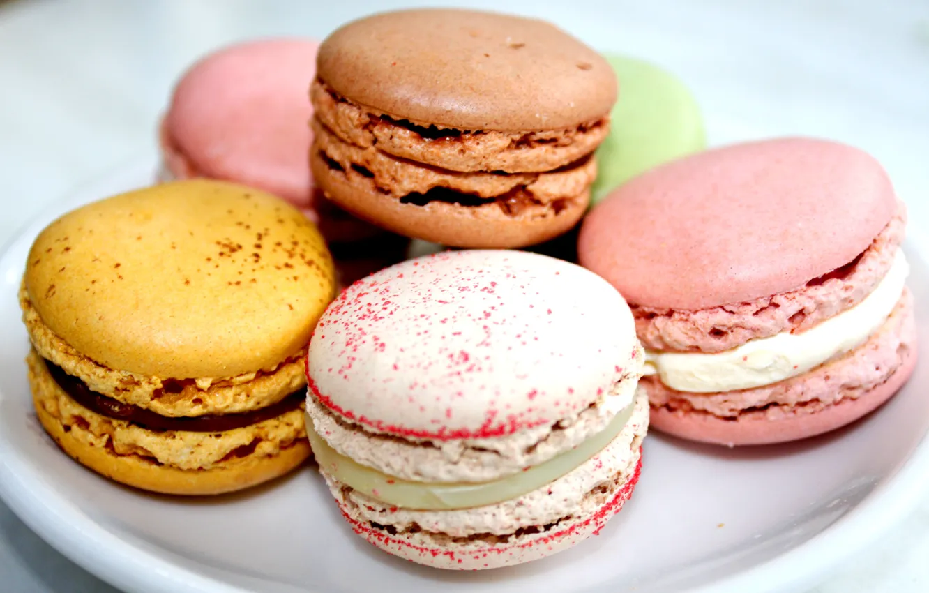 Photo wallpaper colored, cookies, different, macaroon, macaroon