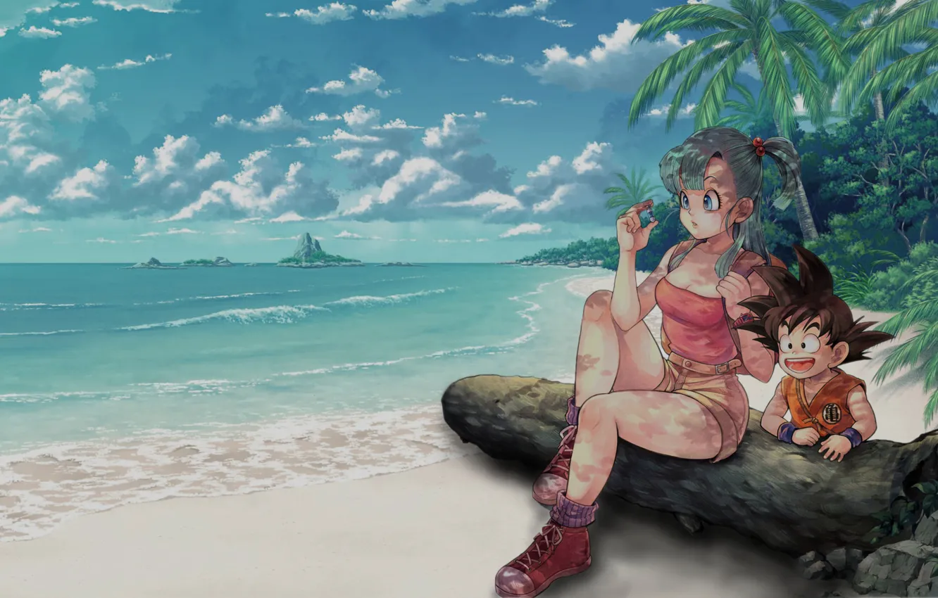 Photo wallpaper Clouds, Dragon, Beach, Bra, Ball, Ocean, Goku, Palm