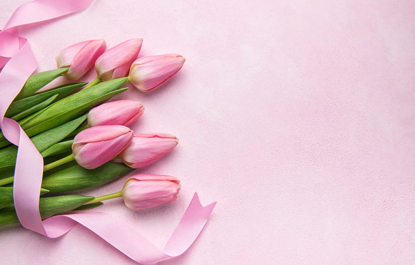 Photo wallpaper flowers, bouquet, tape, tulips, pink, flowers, tulips, spring