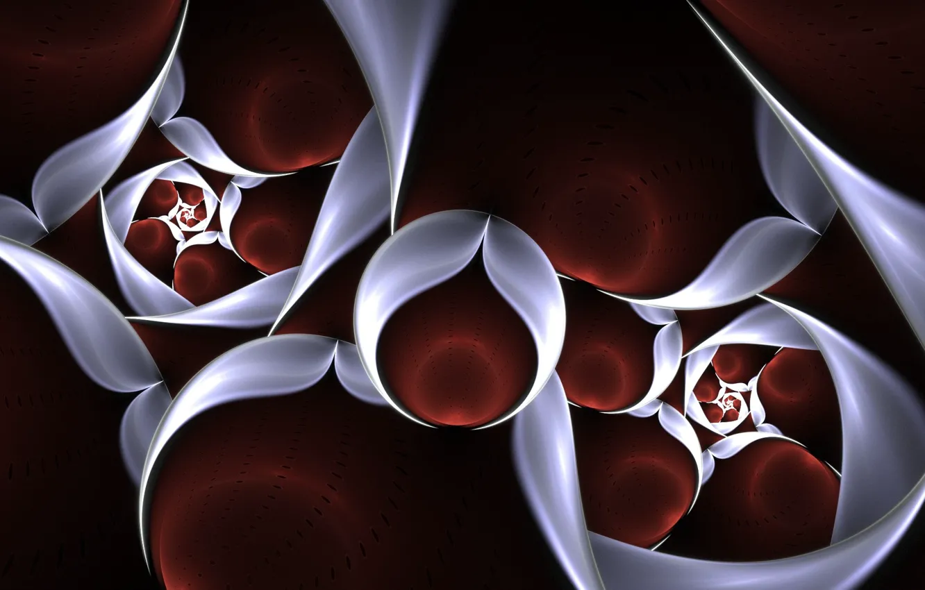 Photo wallpaper pattern, the dark background, rosette